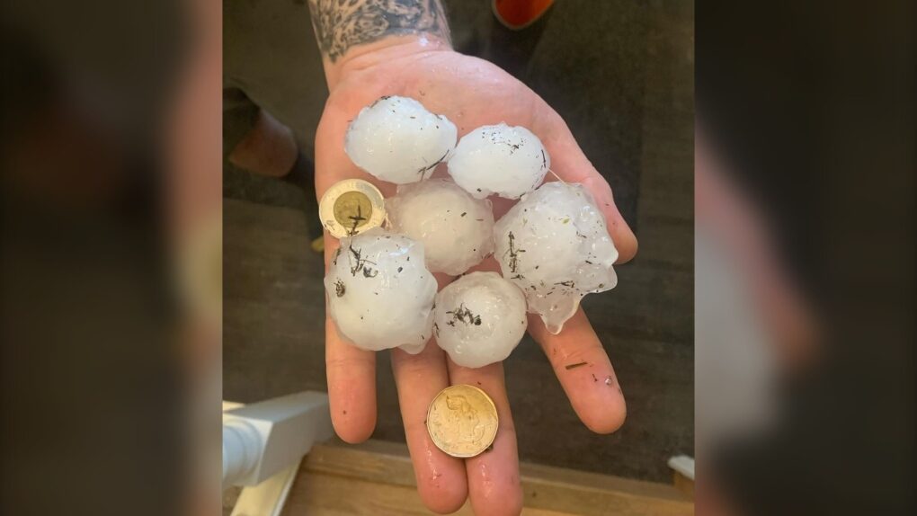 A photo of the hail that fell in Rivers, Man.,