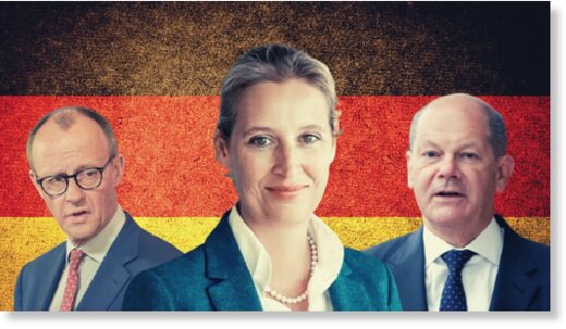 Click to enlarge Weidel Merz Scholz