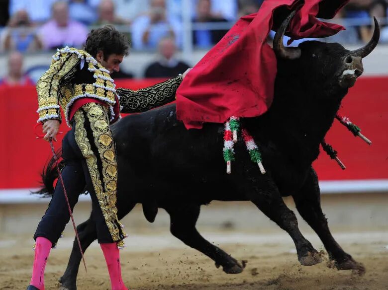 Click to enlarge matador