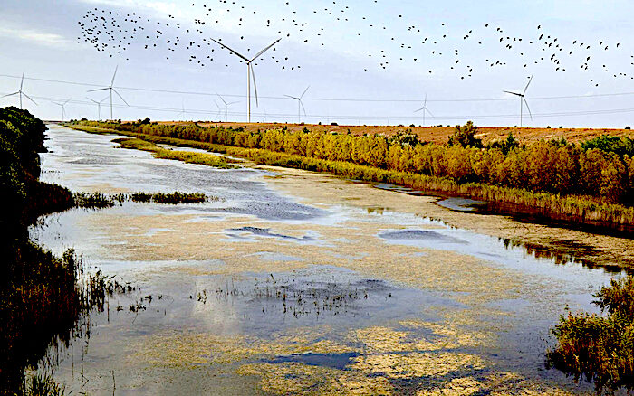 low canal