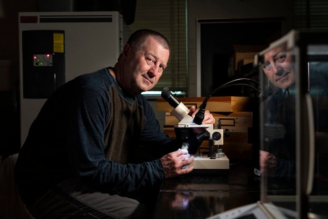 Christopher Heckscher firefly research