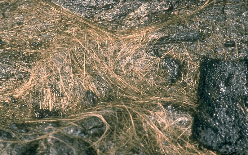 Click to enlarge Volcanic spun-glass shards called 'Pele's hair'