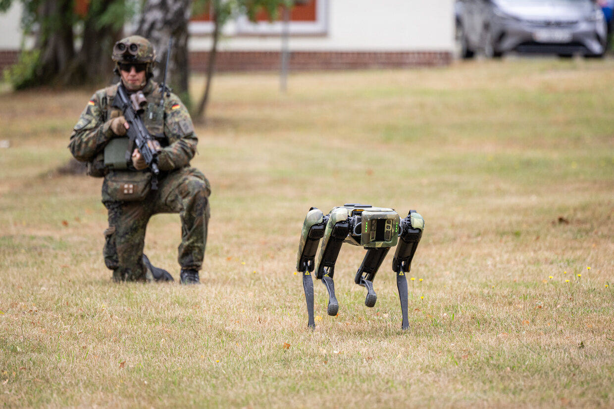 robot dog
