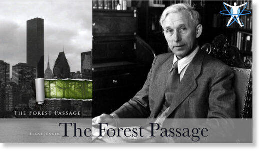 forest passage