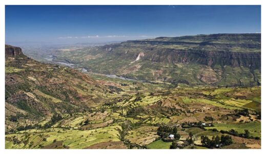 The East African Rift