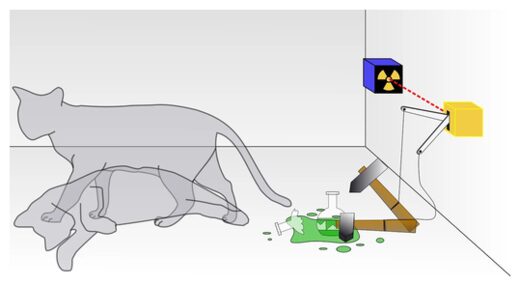 Click to enlarge Schrodinger's Cat