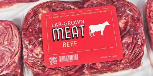 Click to enlarge lab grown meat