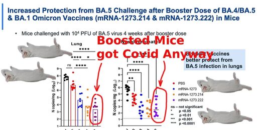 mice vaccine