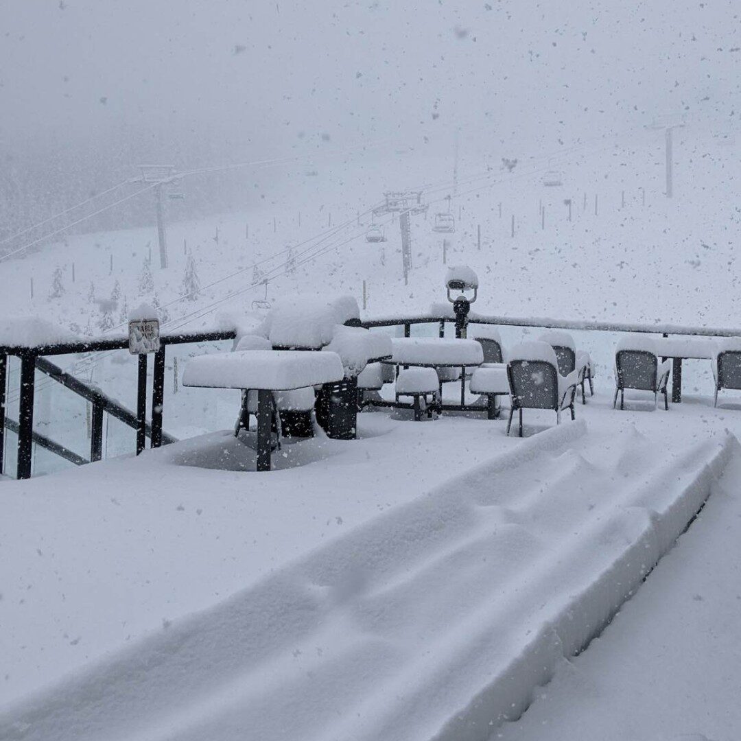 Marmot Basin