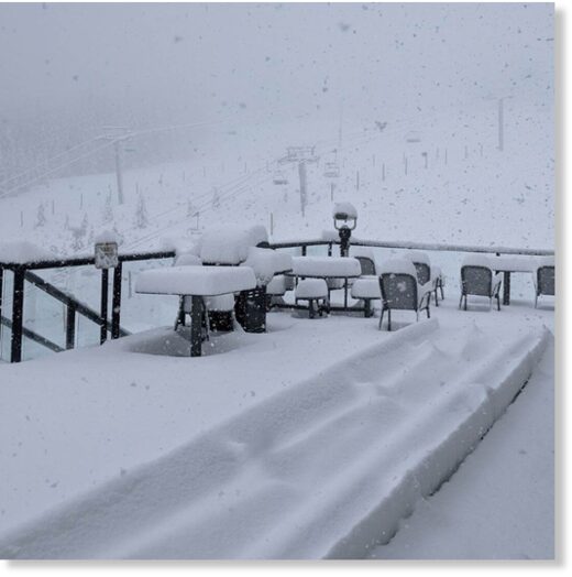 Marmot Basin