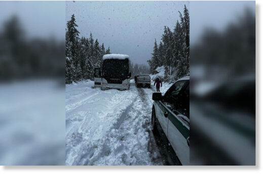 Maligne Road by Jasper National Park covered in snow on Monday, June 19, 2023.