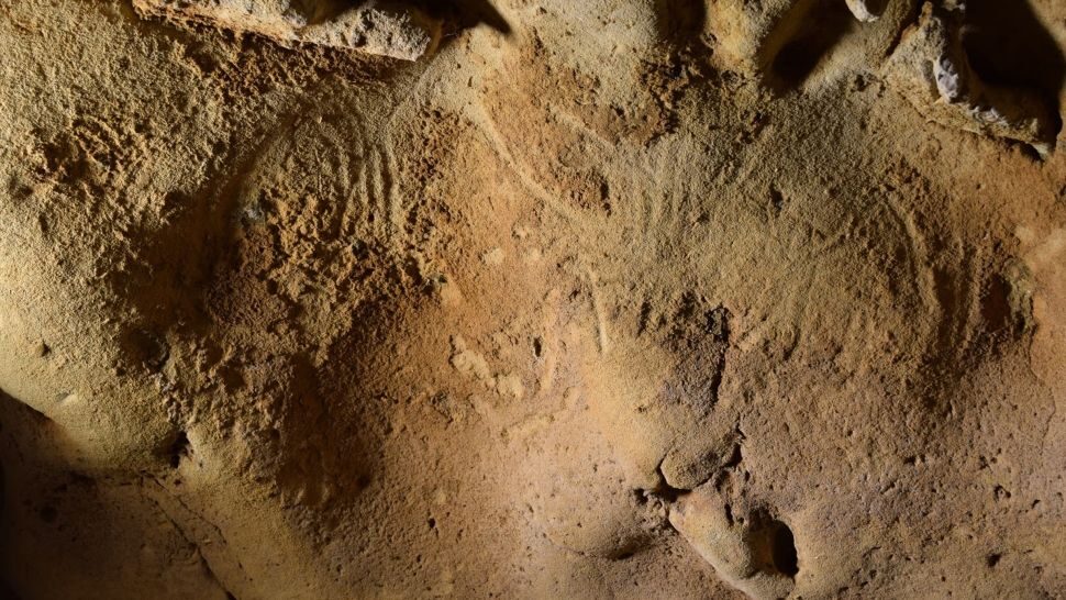 Click to enlarge Roche-Cotard cave