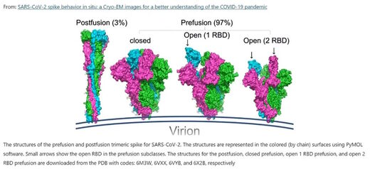 Click to enlarge spike protein viron