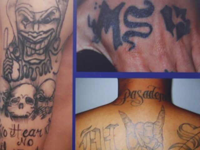 ms-13