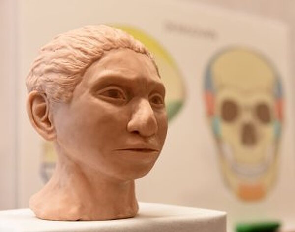 female denisovan reconstruction