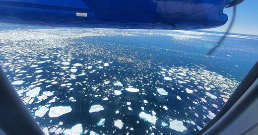 sea ice