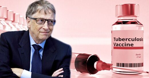 Bill gates TB vaccine
