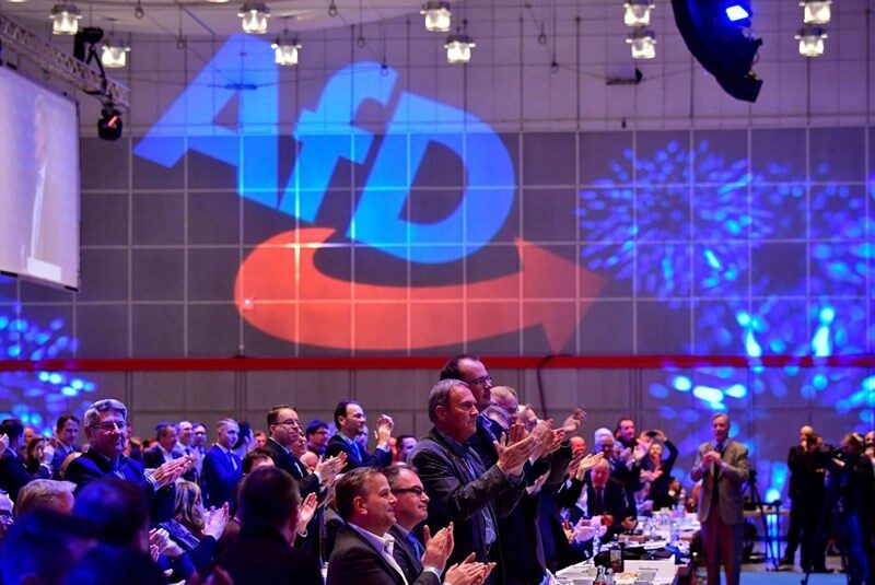 afd germany