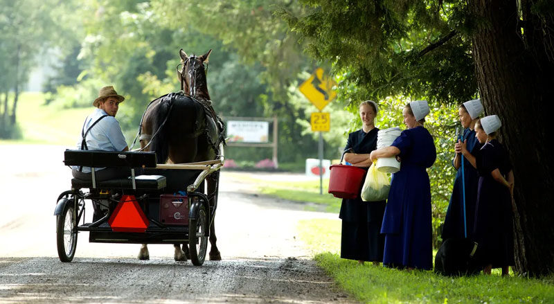 Amish