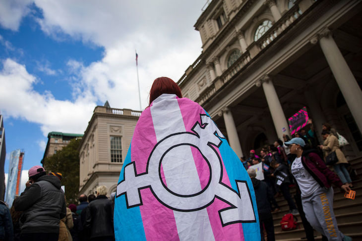 trans flag