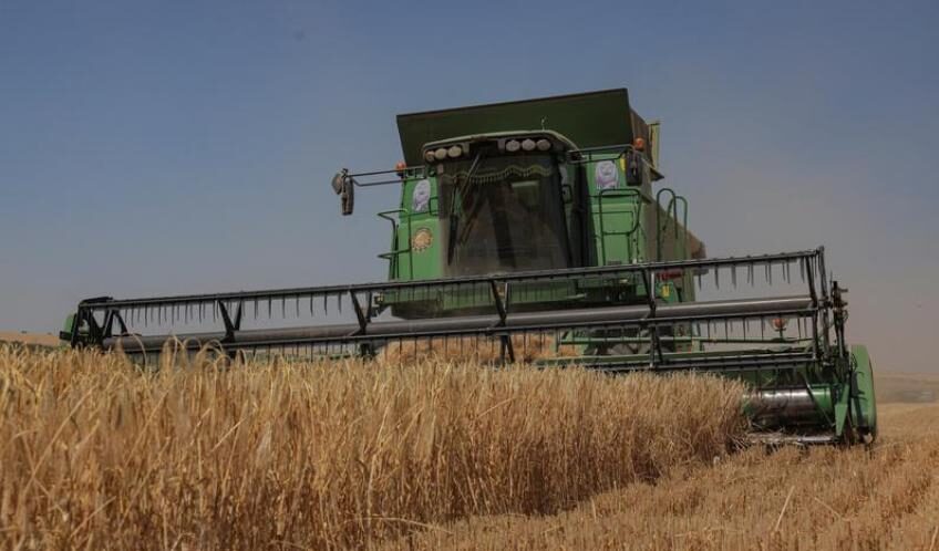 ukraine farmer harvest