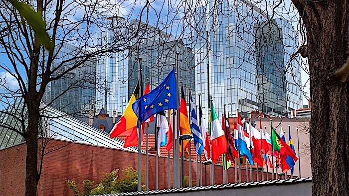 Click to enlarge Flags