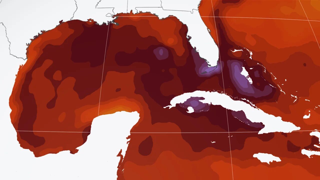 Click to enlarge marine heatwave florida