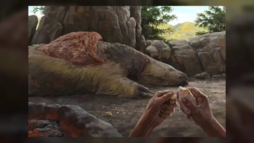 Click to enlarge sloth