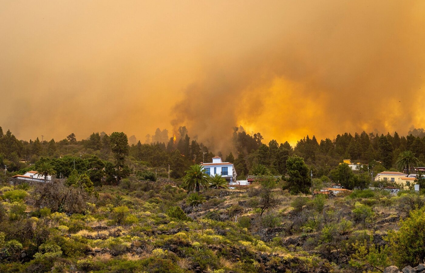 La Palma, with a population of 85,000, is one of eight members of Spain’s Canary Islands archipelago off Africa’s western coast.