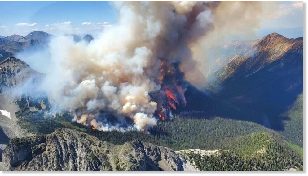 Canada's recordbreaking wildfires burned more than 10 million hectares