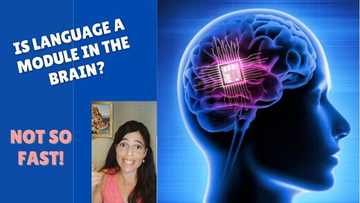 juliana barembuem language brain module