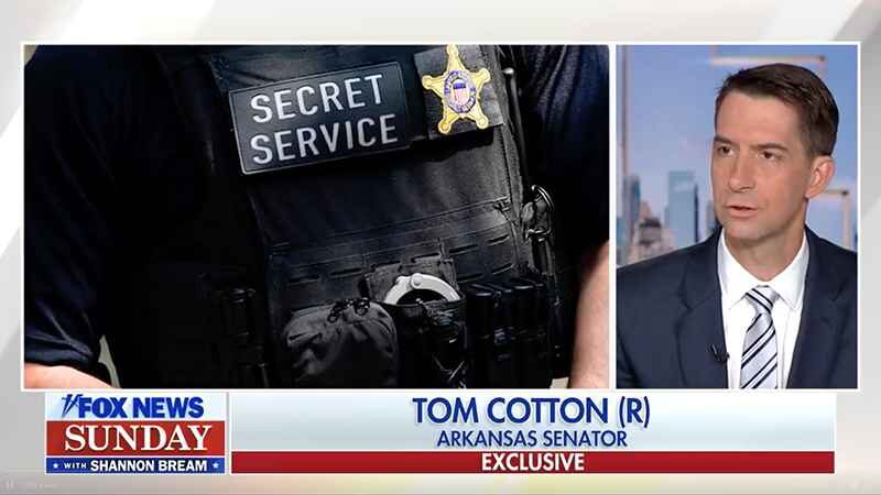 tom cotton screenshot