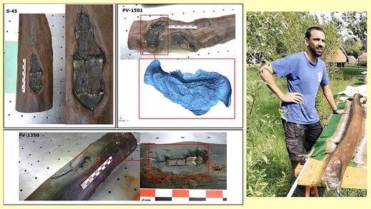 Click to enlarge la drage neolithic site ancient forest management