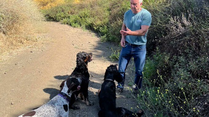 rfk jr dogs kennedy