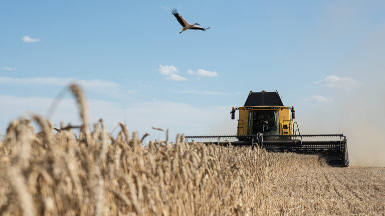 Harvest