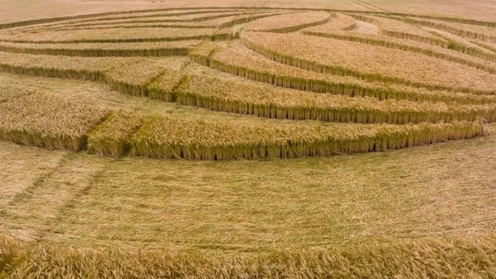 crop circle