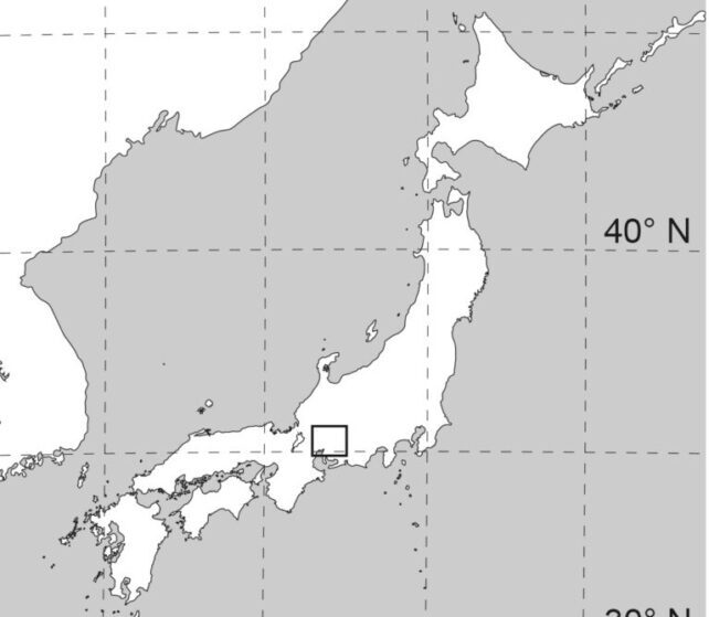 Click to enlarge fossil forest