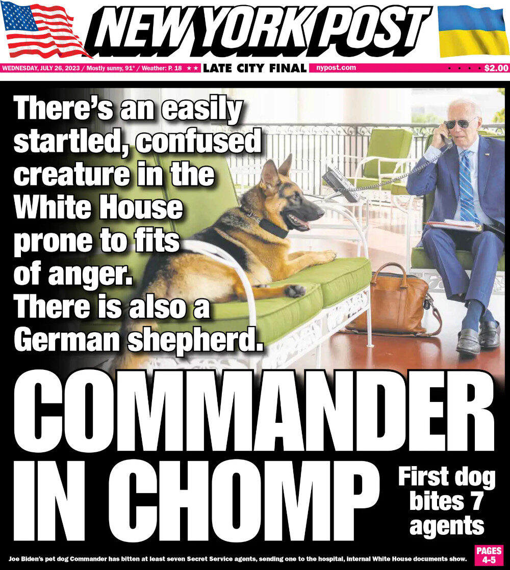 Biden's German shepherd, Biden's dog, Commander bite