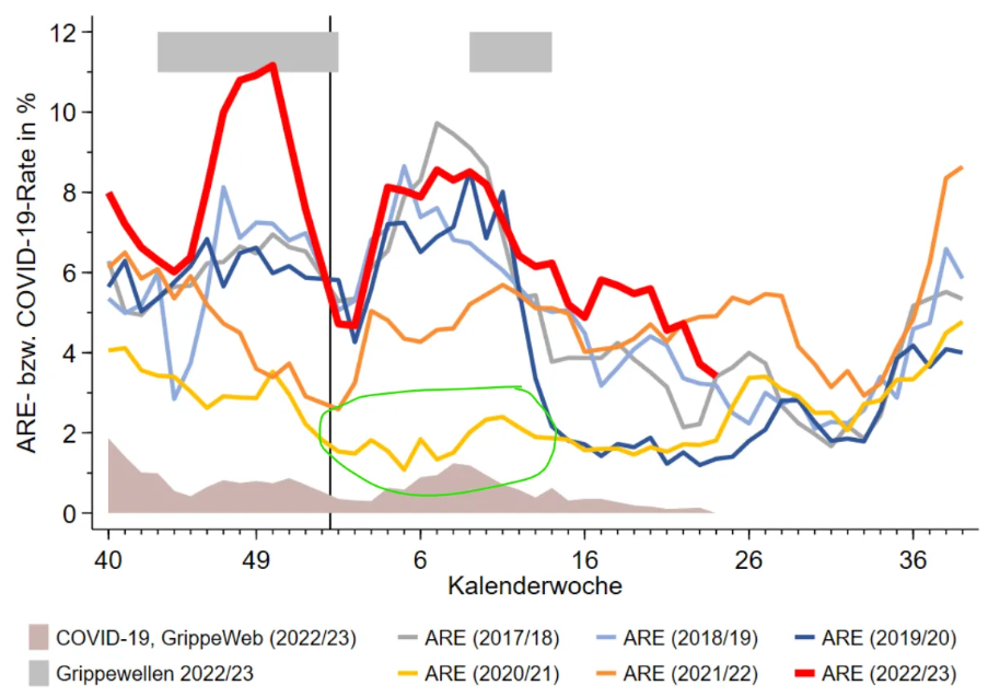 Click to enlarge influenza peak Diagram