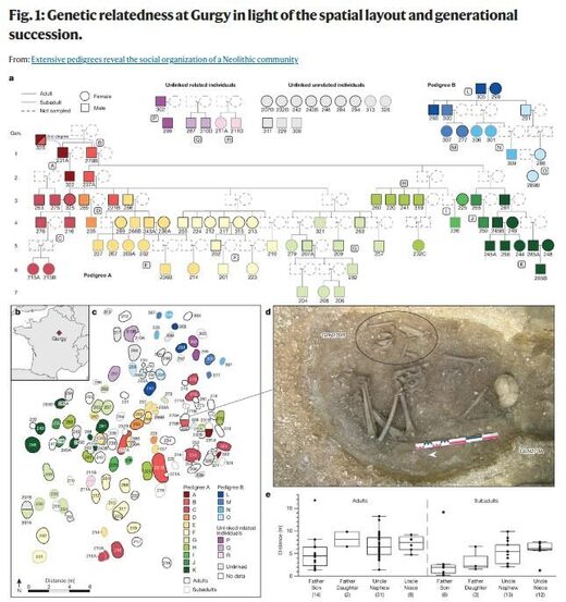 Click to enlarge neolithic