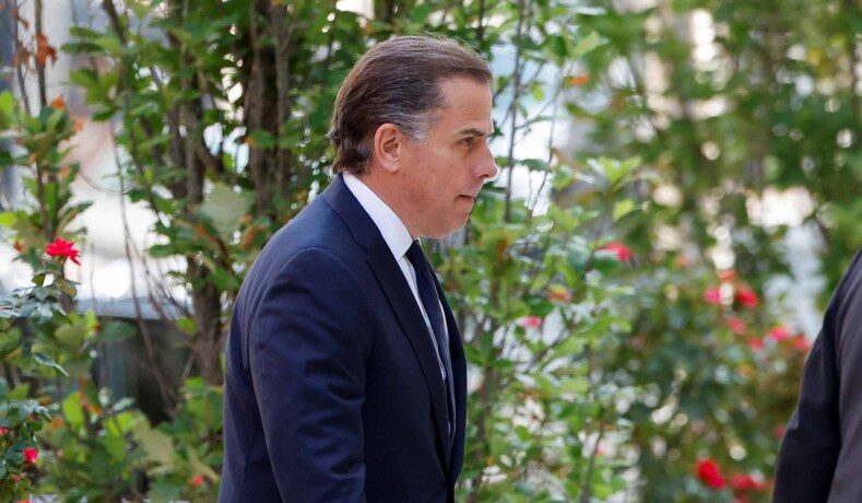 hunter biden court plea deal