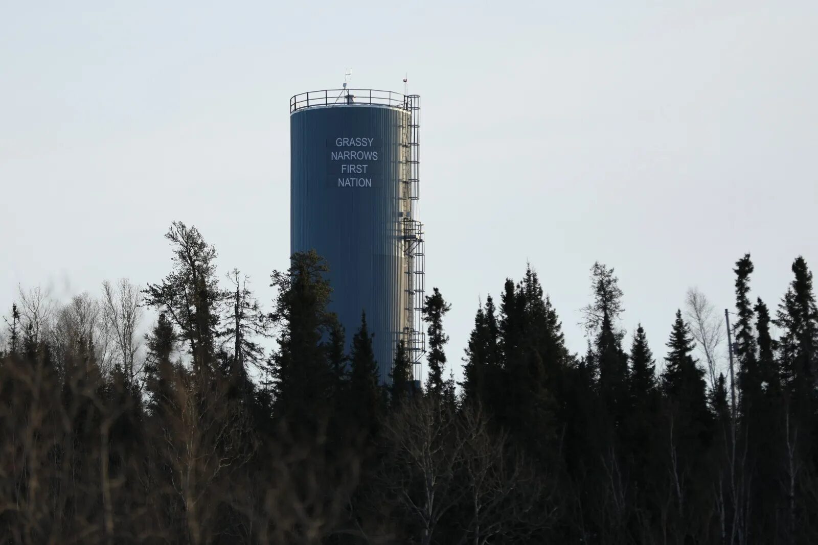 grassy narrows first nation