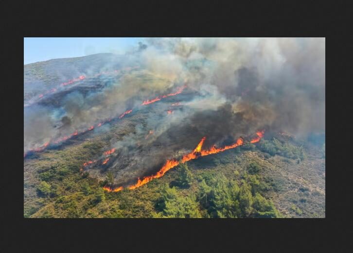 arson fire greece