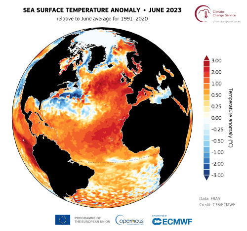 sea ice