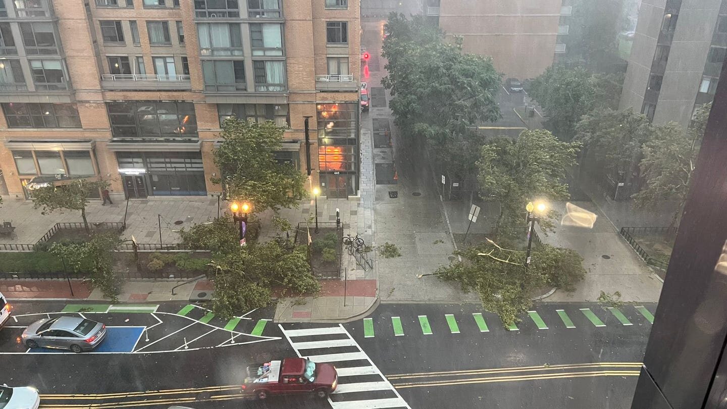 Click to enlarge Tree damage along K Street in D.C.