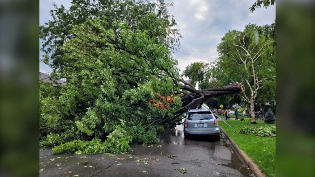 A tree on top of a car on Bromley Street in Westboro on Friday after a storm moved through the Ottawa area.