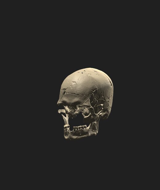 Click to enlarge skull