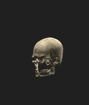 Click to enlarge skull