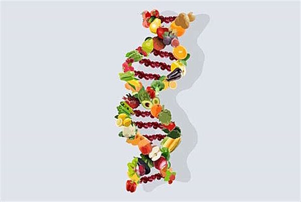 Click to enlarge genetically modified foods graphic dna