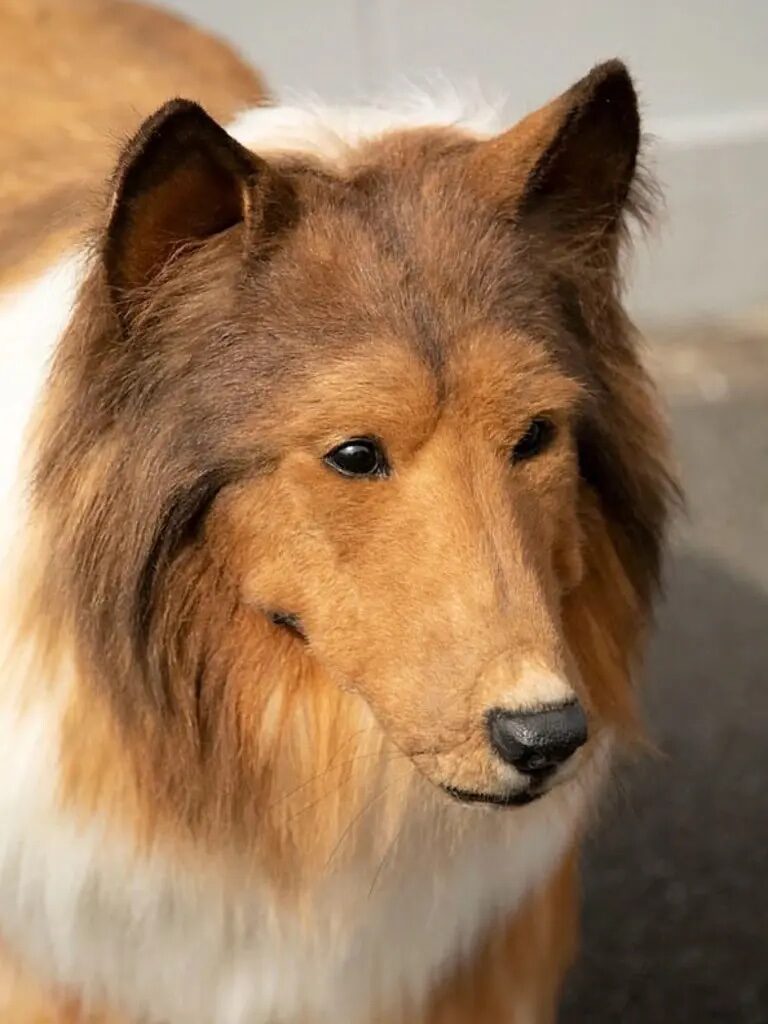 His hyperrealistic dog costume cost $20,000.His hyperrealistic dog costume cost $14,000.